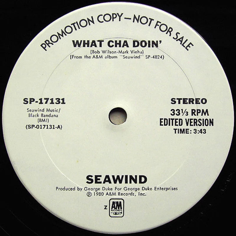 12": Seawind - What Cha Doin'