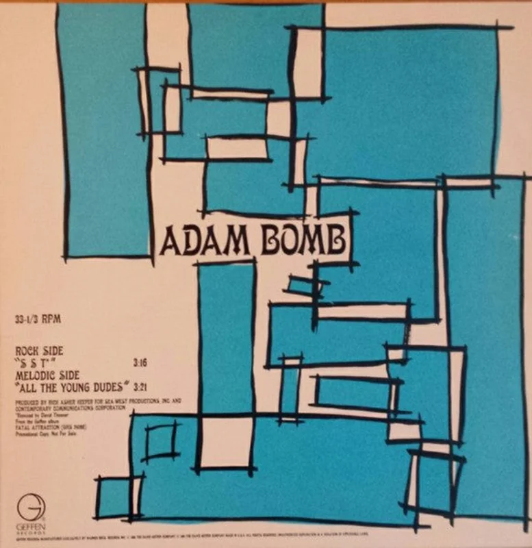 12" Single: Adam Bomb - SST