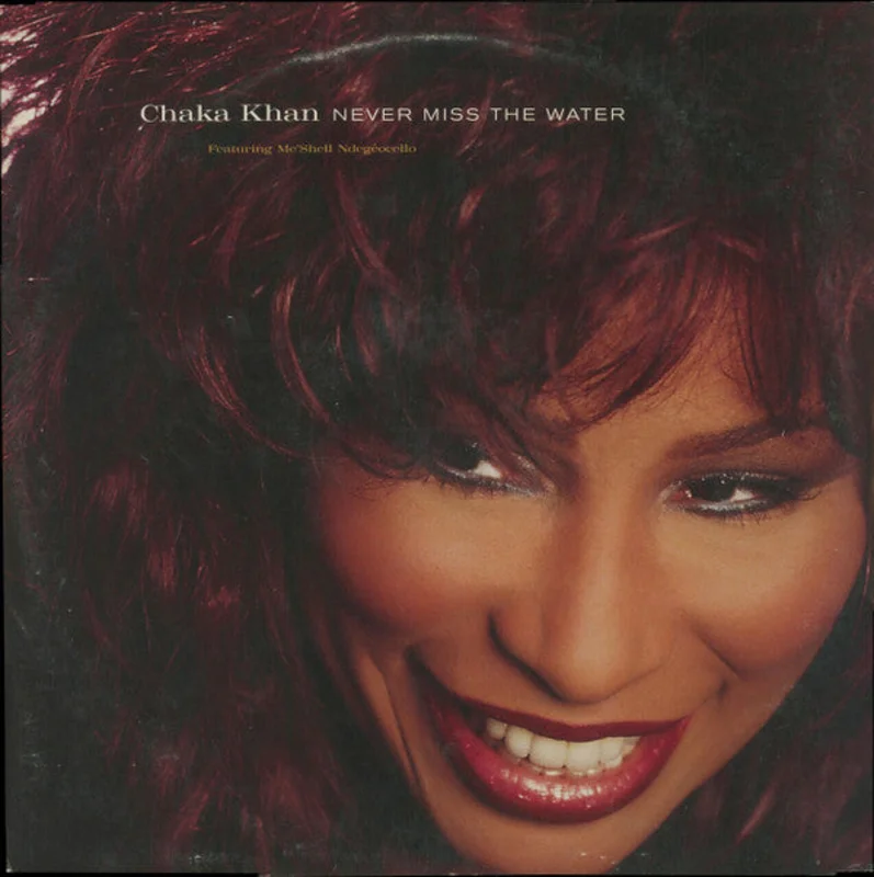 12" Single: Chaka Khan, Me'Shell NdegOcello - Never Miss The Water
