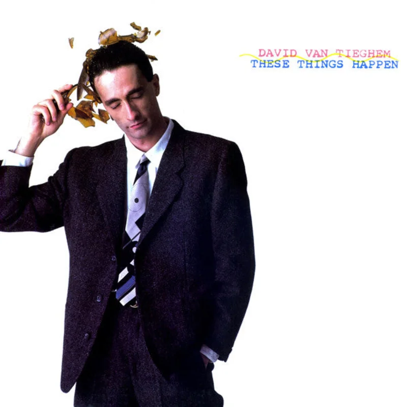 12" Single: David Van Tieghem - These Things Happen