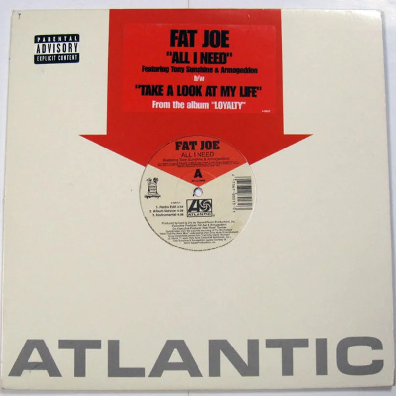 12" Single: Fat Joe - All I Need / Take A Look At My Life