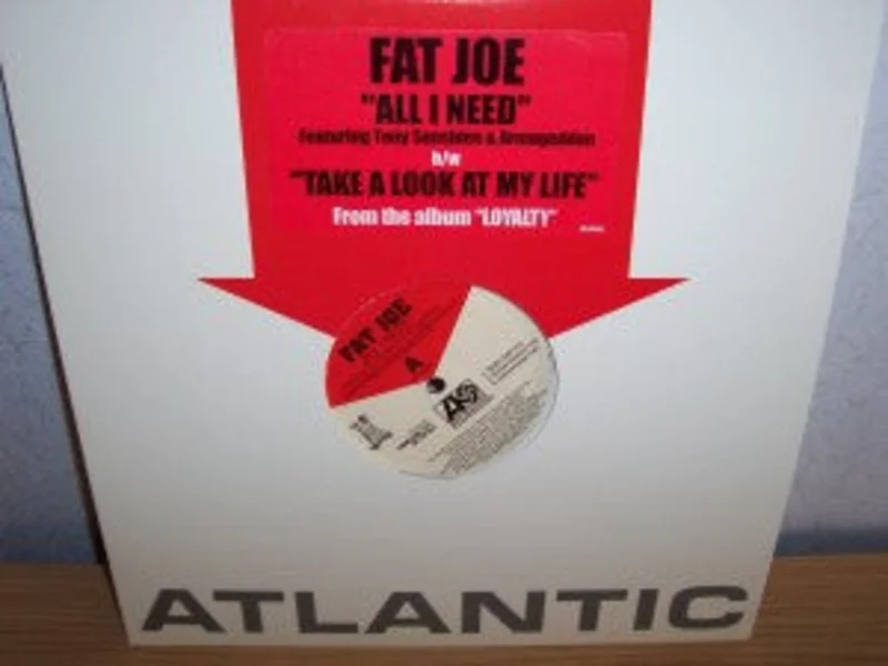 12" Single: Fat Joe - All I Need