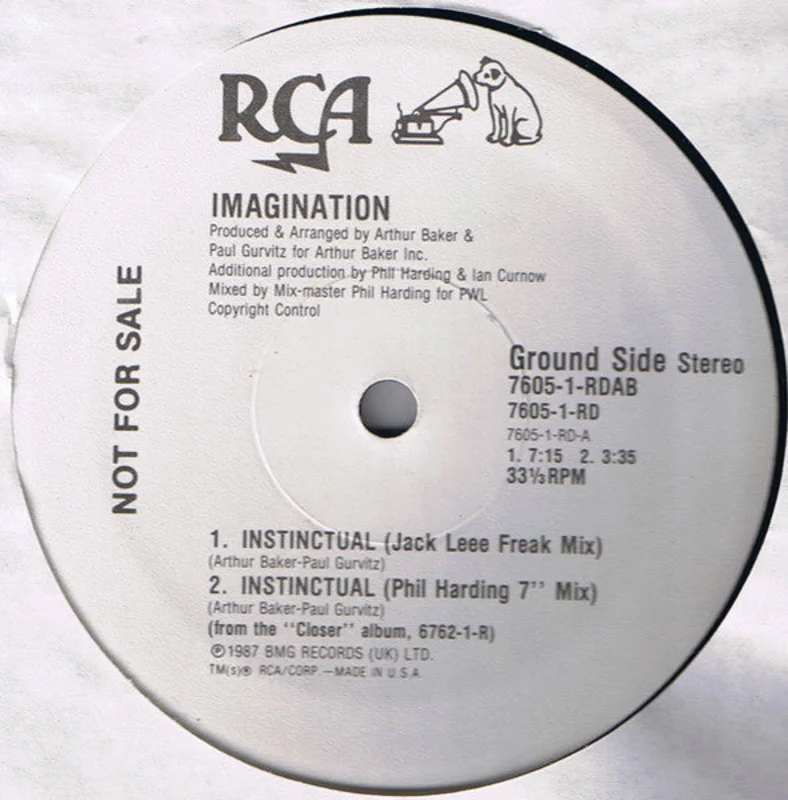 12" Single: Imagination - Instinctual
