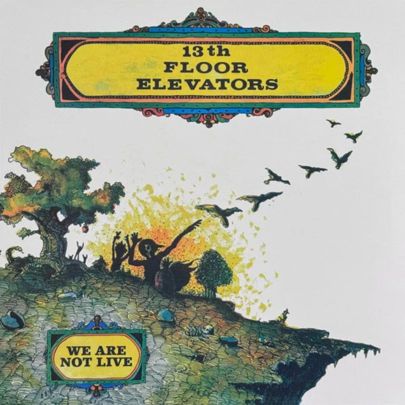 13th Floor Elevators - We Are Not Live (RSD 2026) (Quick Ship)