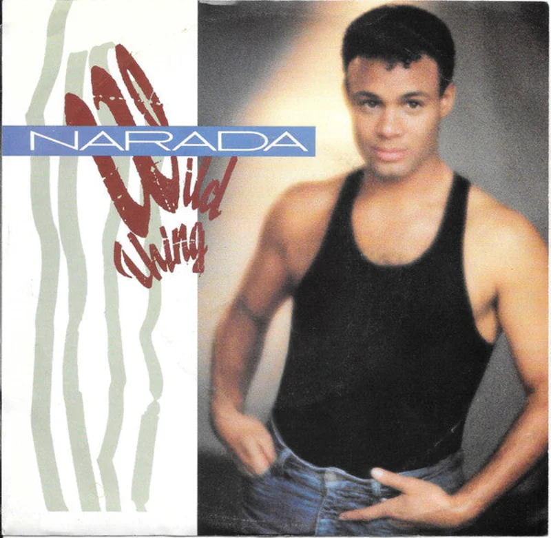 7" Single: Narada Michael Walden - Wild Thing
