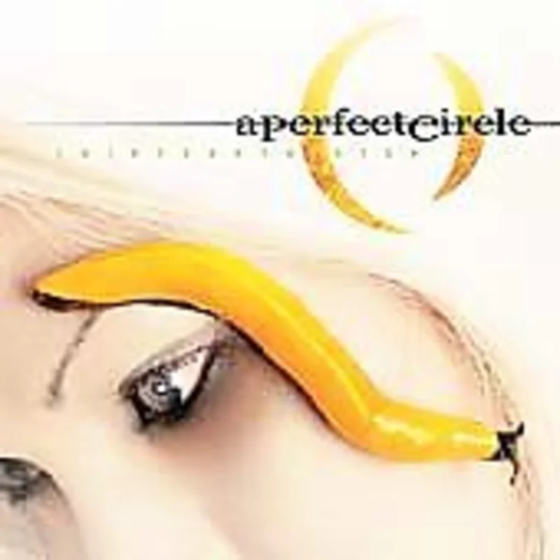A Perfect Circle Thirteenth Step (2 Lp's)