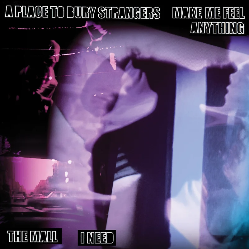 A Place To Bury Strangers A Place To Bury Strangers Make Me Feel Anything / The Mall I Need Split 7"