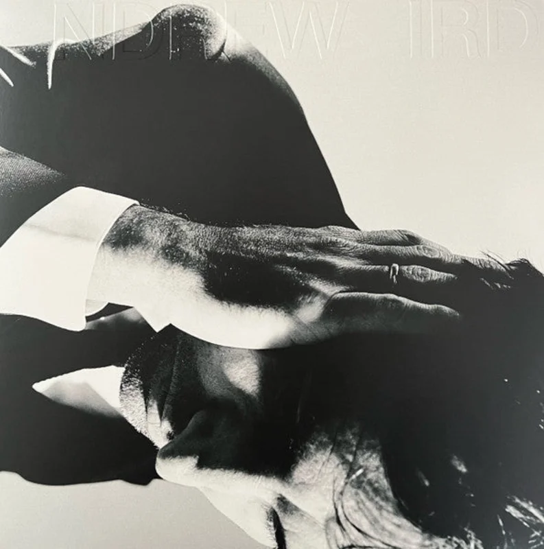 Andrew Bird - Inside Problems