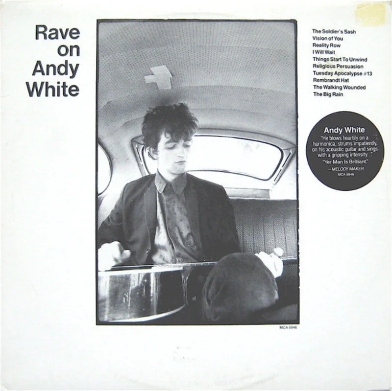 Andy White - Rave On Andy White
