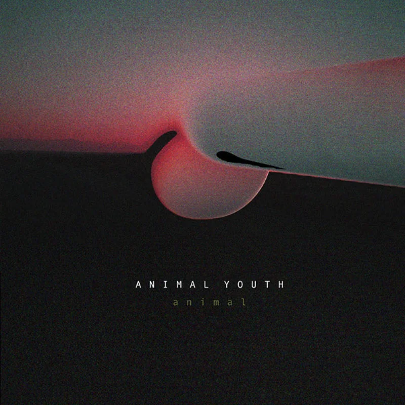 ANIMAL YOUTH Animal