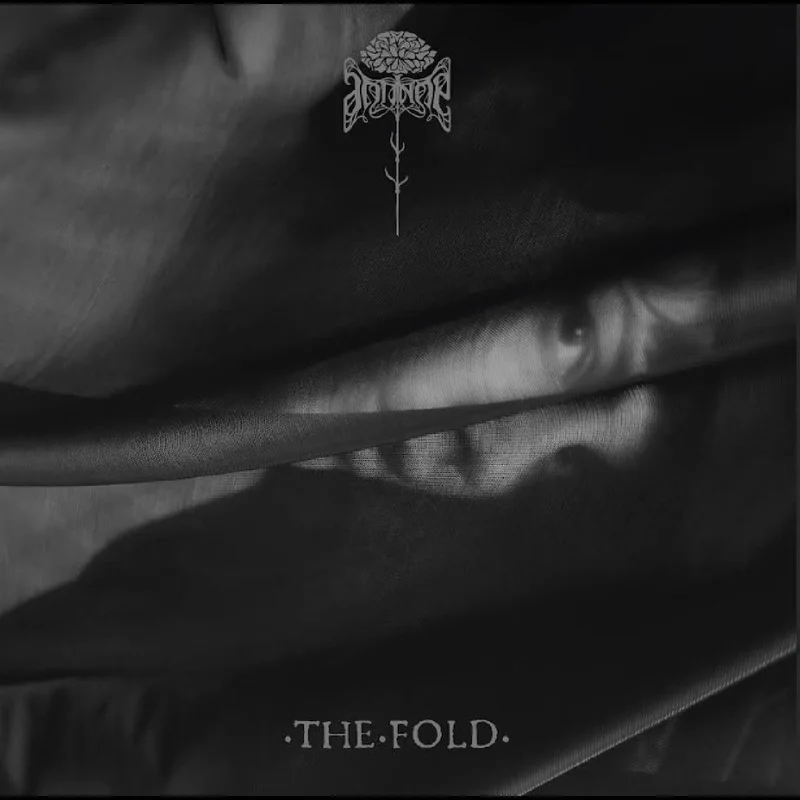 Antino The Fold