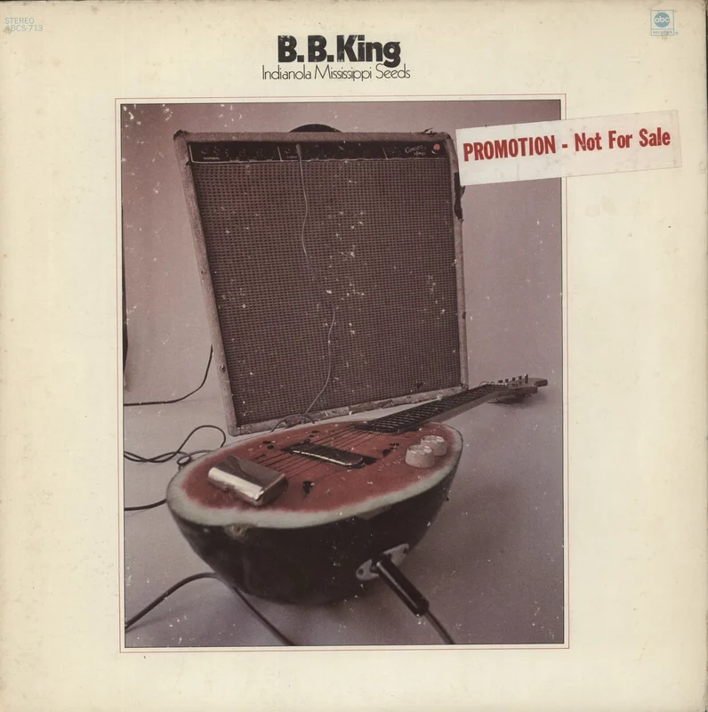 B B King Indianola Mississippi Seeds US Promo Vinyl LP