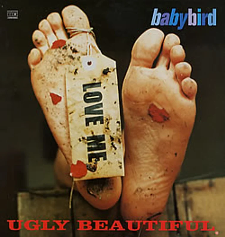 Babybird Ugly Beautiful UK 2-LP vinyl set