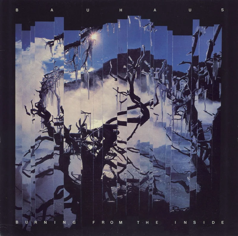 Bauhaus Burning From The Inside + Inner UK Vinyl LP