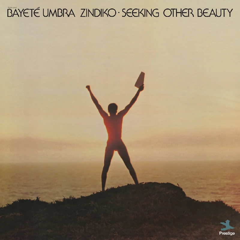 Bayet Umbra Zindiko Seeking Other Beauty (All-Analog) (Plasma Vinyl)
