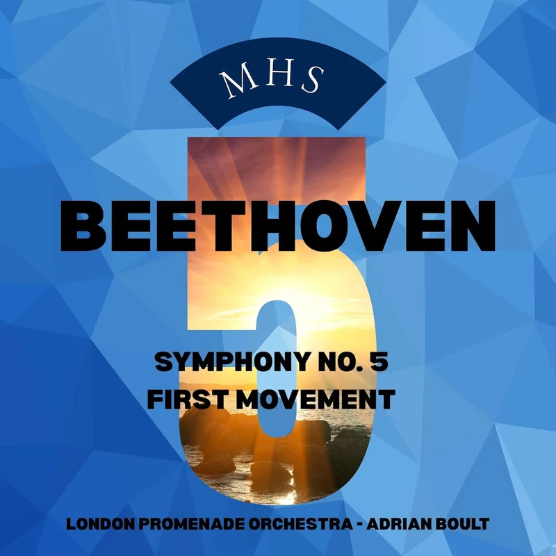 Beethoven: Symphony No. 5 - First Movement