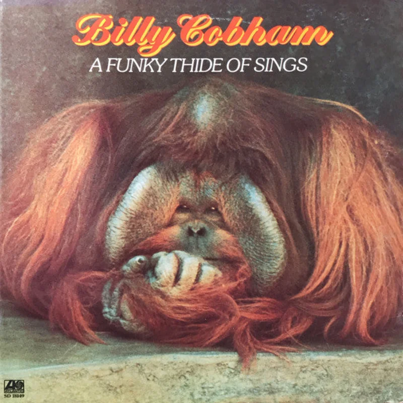 Billy Cobham - A Funky Thide Of Sings