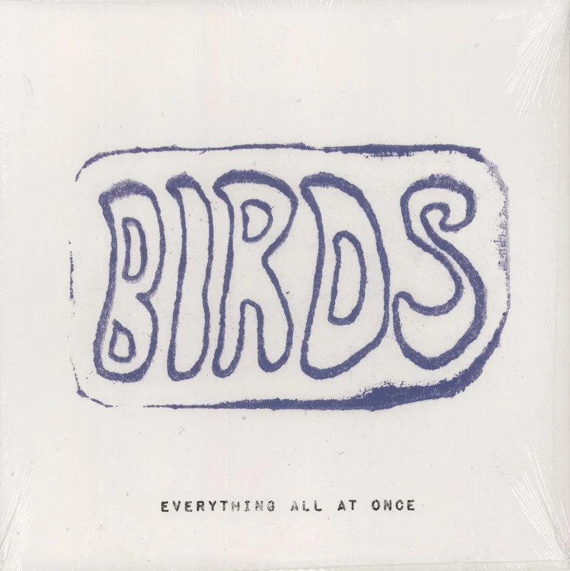 Birds Everything All At Once - Amoeba Burst Vinyl - Sealed US Vinyl LP