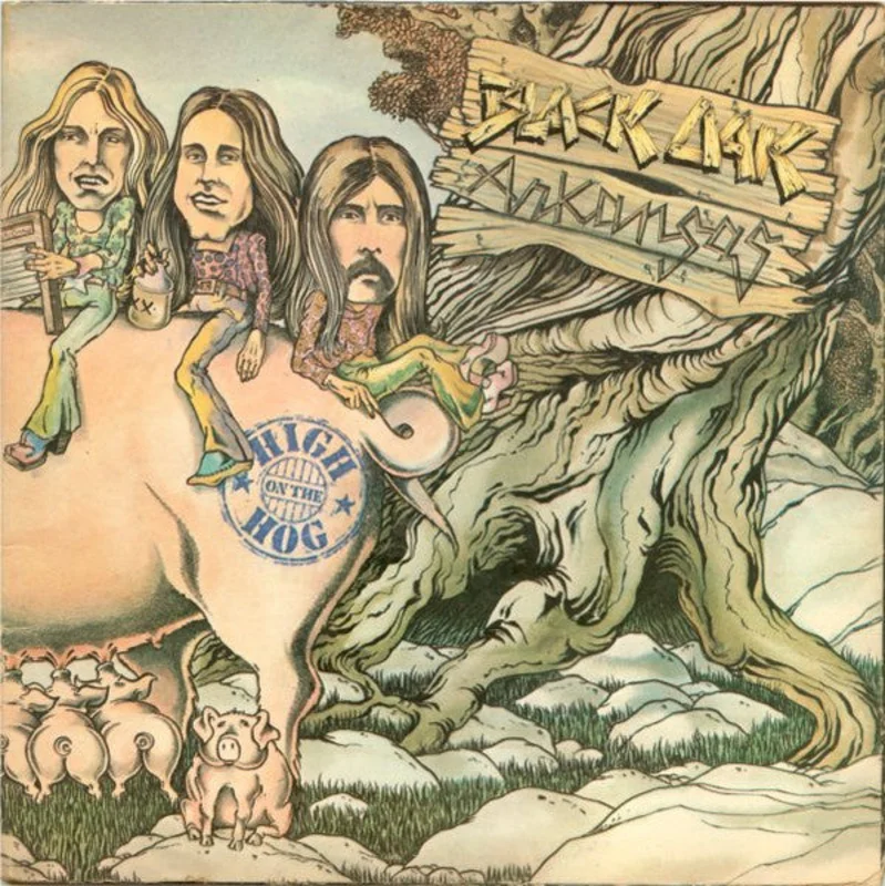 Black Oak Arkansas - High On The Hog