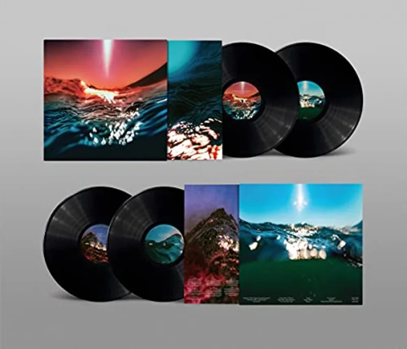 Bonobo Fragments