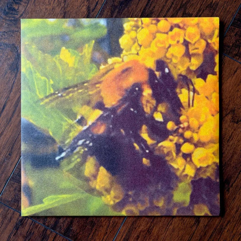 Broncho - Natural Pleasure (Arrives in 21 days)