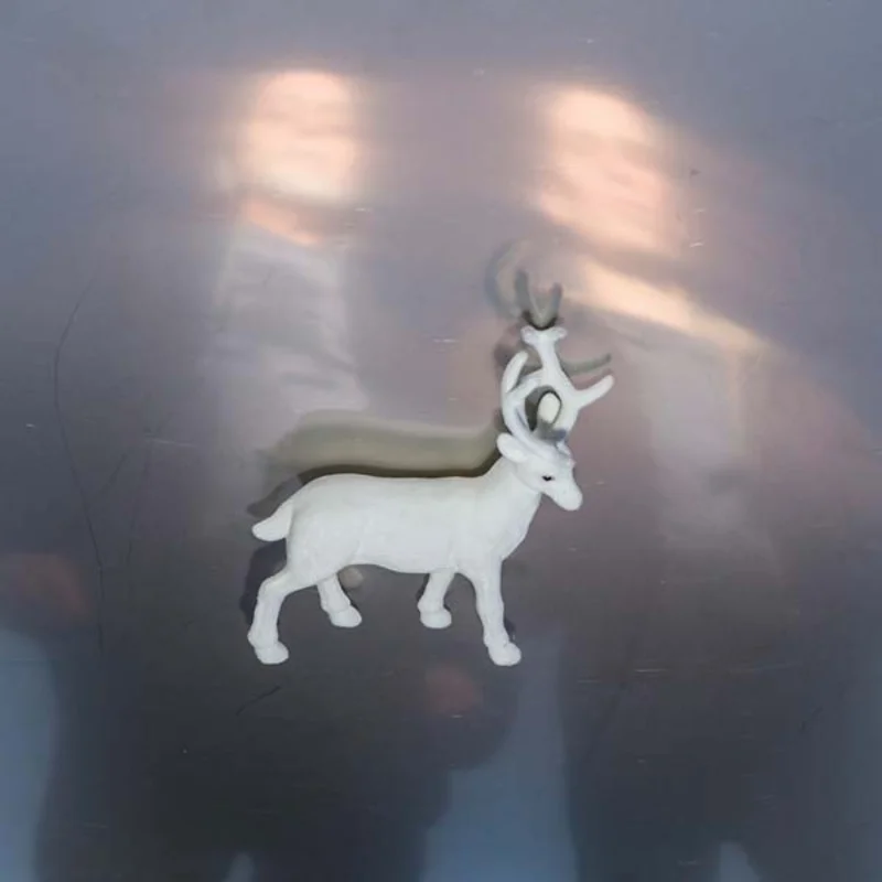 Buck Gooter Stainless Steel Mirrors