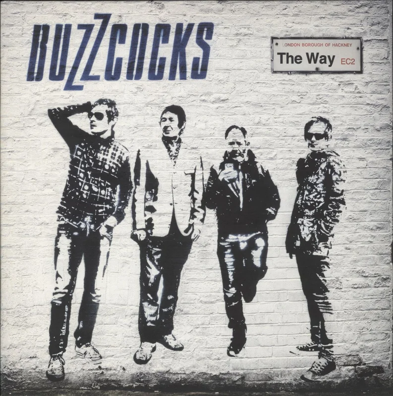 Buzzcocks The Way UK Vinyl LP
