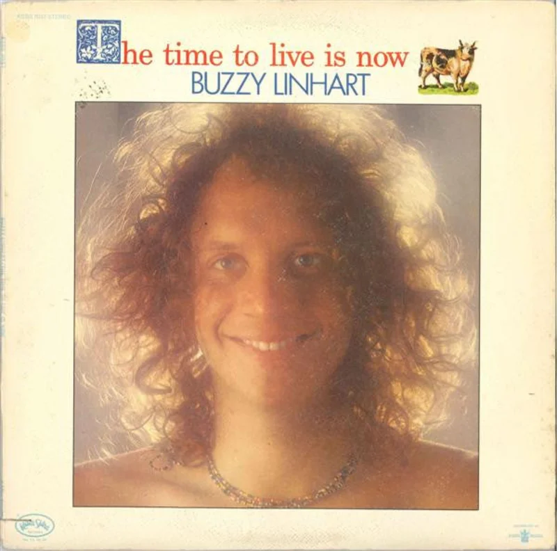 Buzzy Linhart - The Time To Live Is Now
