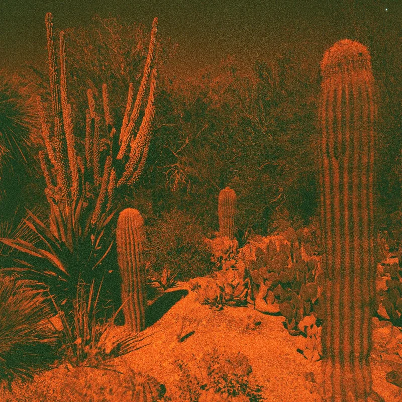 Cameron & Eli Winter Knowler Anticipation (Indie Exclusive Purple Vinyl)