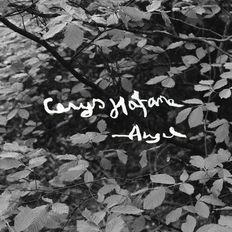Cerys Hafana Angel [Lp]