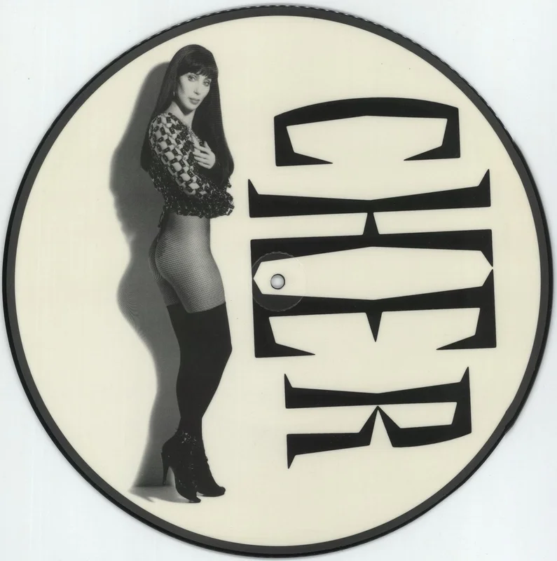 Cher Could've Been You German 12" picture disc