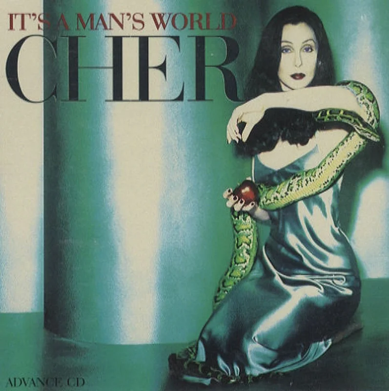 Cher It's A Man's World US Promo CD album