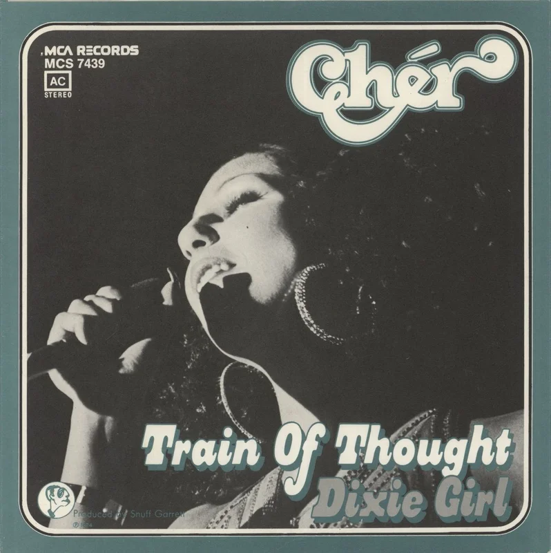 Cher Train Of Thought German 7" vinyl