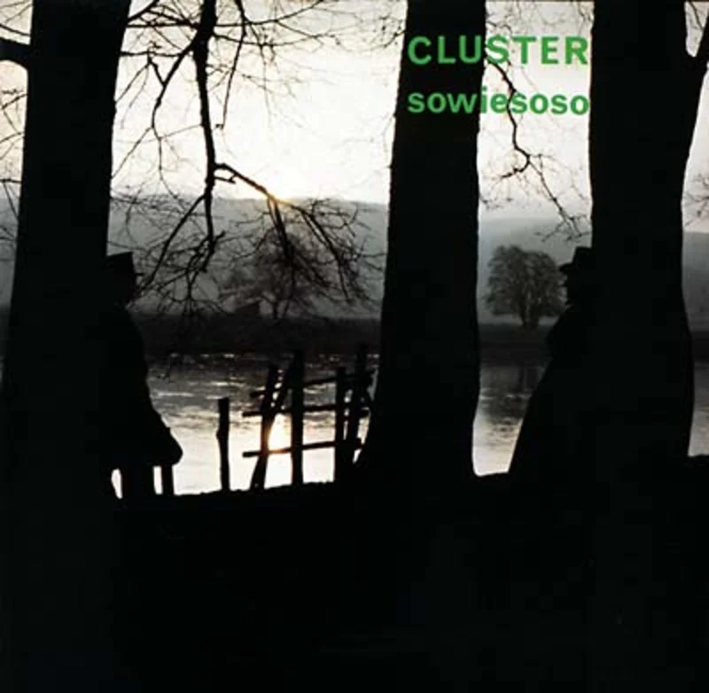 CLUSTER Sowiesoso