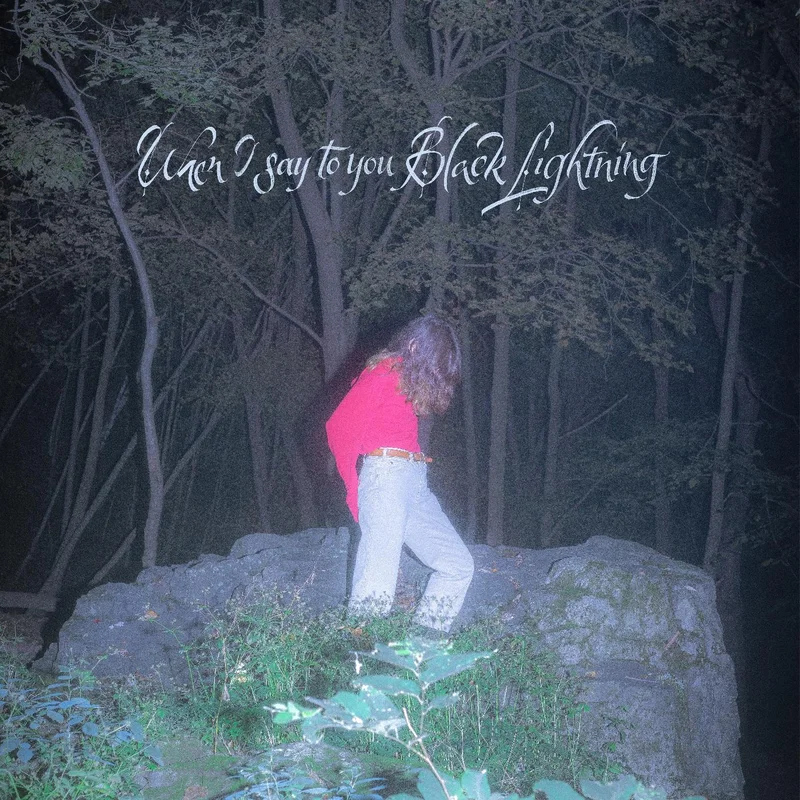 Common Holly When I say to you Black Lightning (BLUE VINYL)