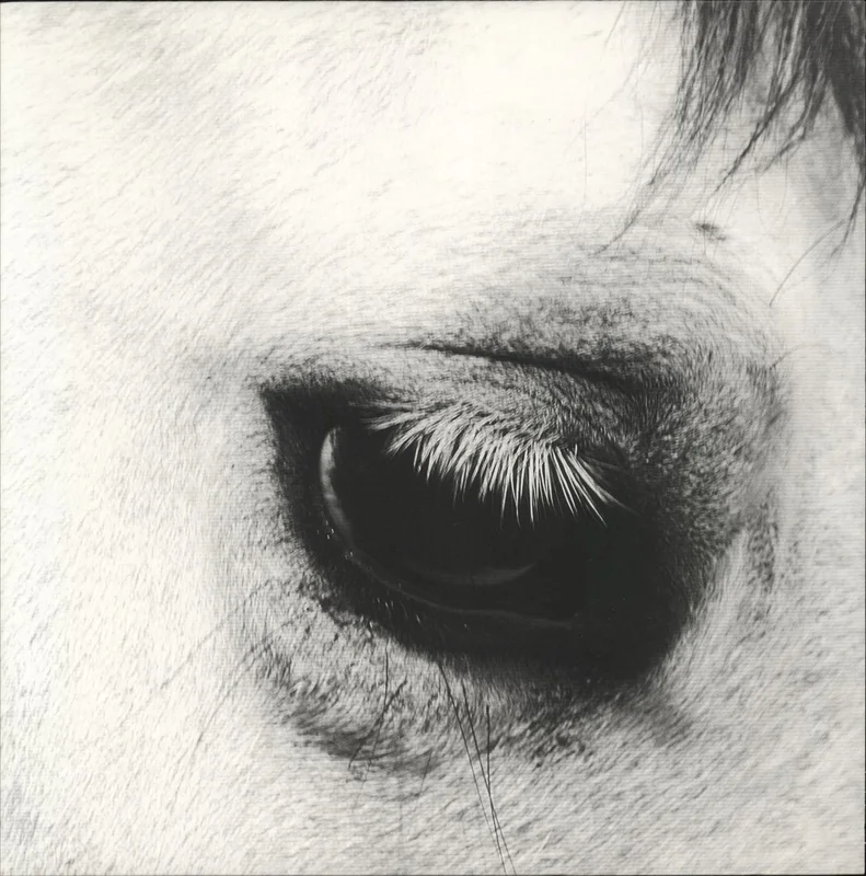 Creepoid Horse Heaven - White Vinyl US Vinyl LP