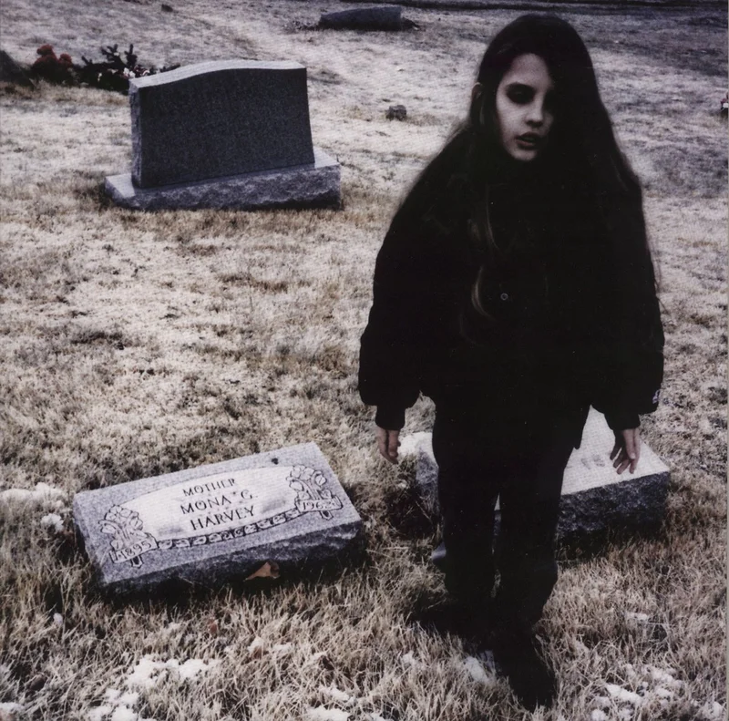 Crystal Castles Crystal Castles (II) UK 2-LP vinyl set