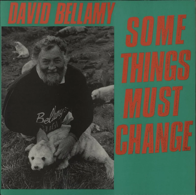 David Bellamy Some Things Must Change UK 12" vinyl