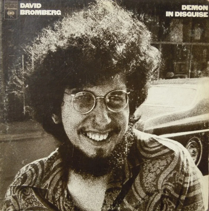 David Bromberg - Demon In Disguise