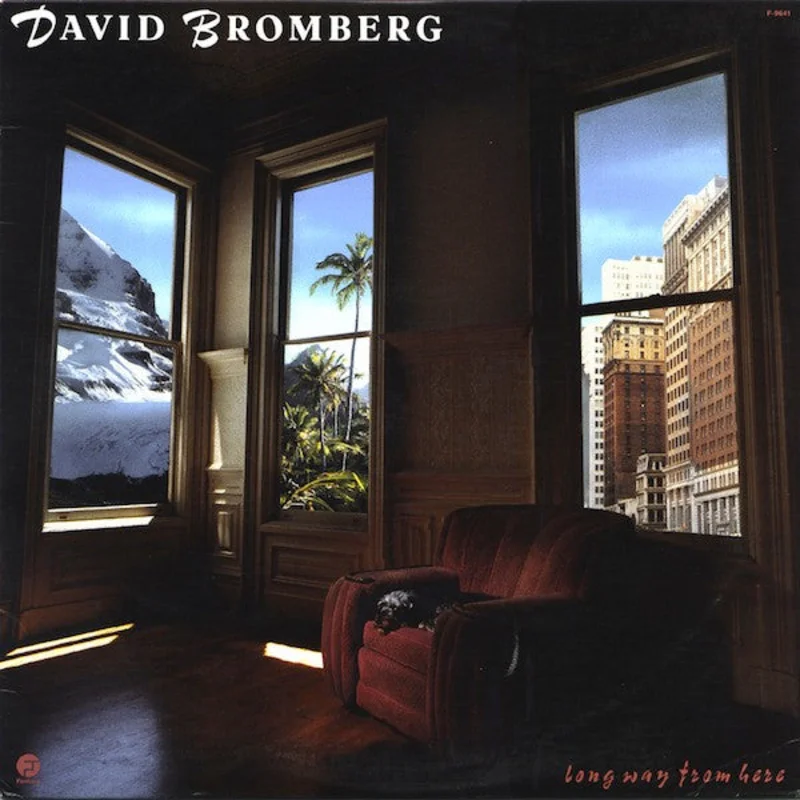 David Bromberg - Long Way From Here