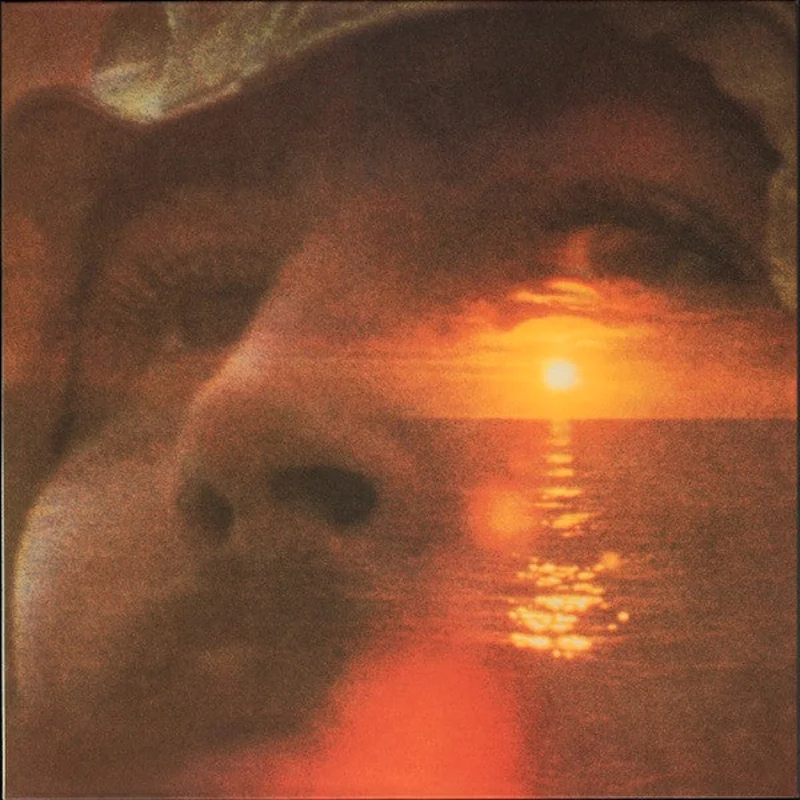 David Crosby - If I Could Only Remember My Name