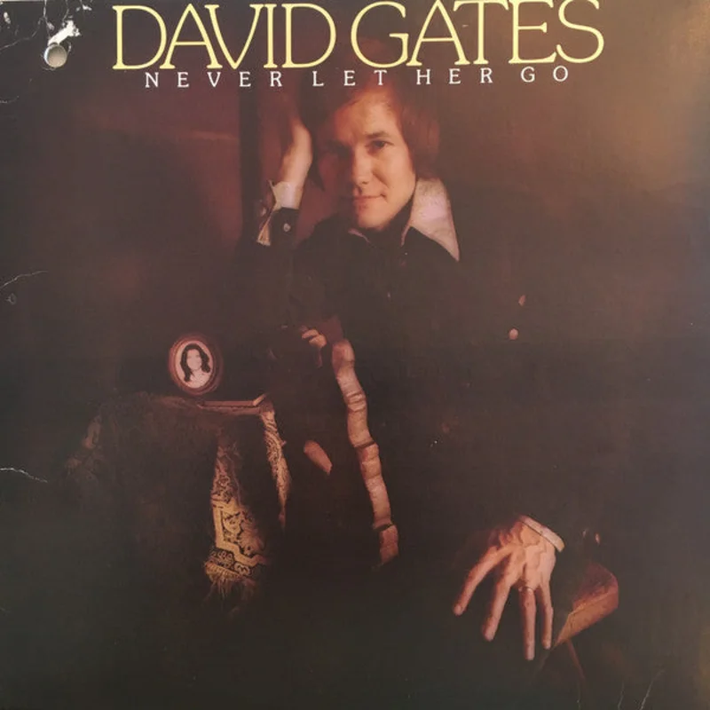 David Gates - Never Let Her Go