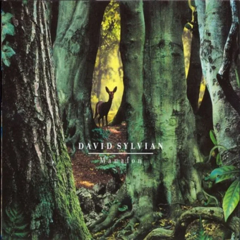 David Sylvian Manafon UK 2-LP vinyl set