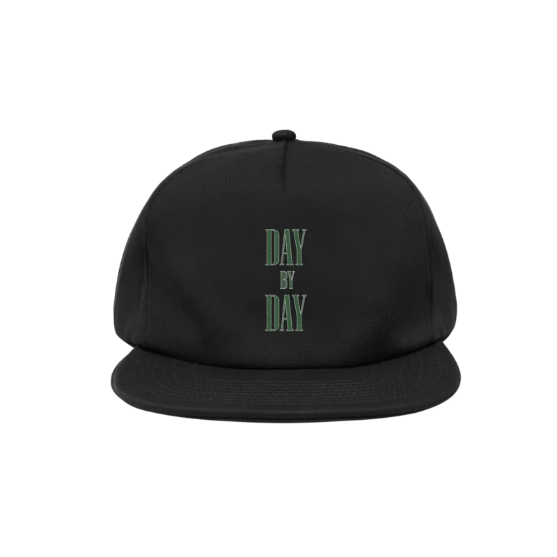 Day By Day - Logo Hat