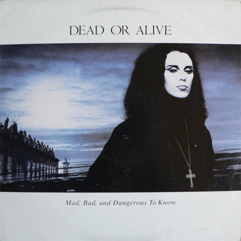 Dead Or Alive - Mad, Bad And Dangerous To Know