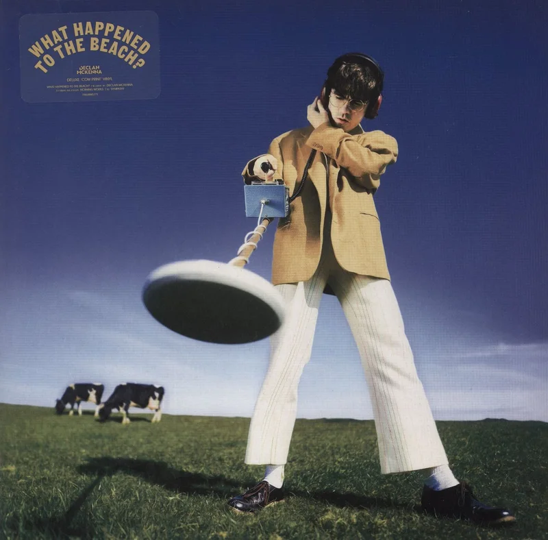 Declan McKenna What Happened To The Beach - Cow Print Picture Disc - Autographed Print UK Picture disc LP