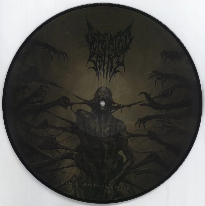 Defeated Sanity Passages Into Deformity US Picture disc LP