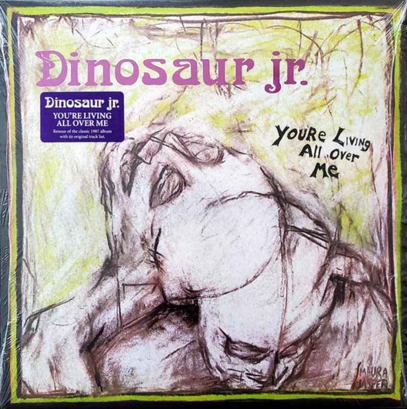 Dinosaur Jr. - You're Living All Over Me