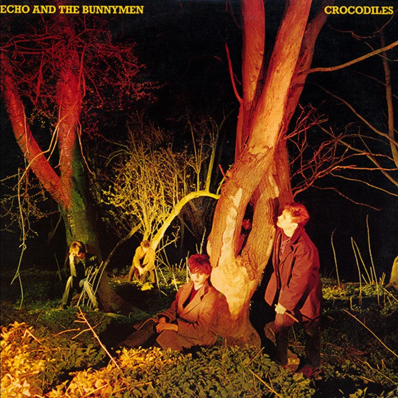 Echo & The Bunnymen - Crocodiles