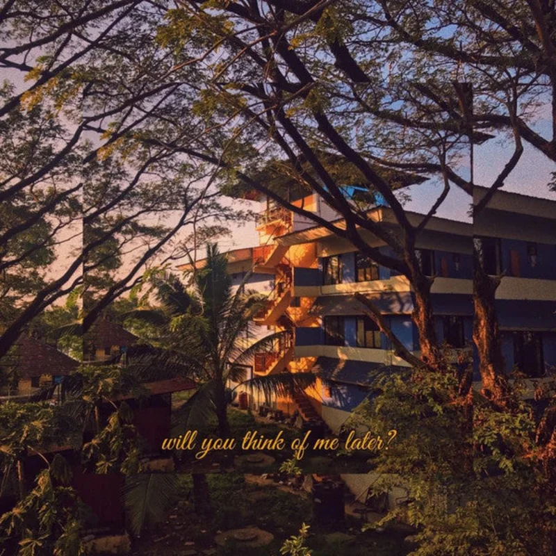Edwin Raphael - Will You Think Of Me Later (Quick Ship)